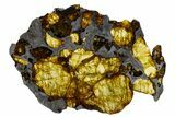 Polished Imilac Pallasite Meteorite (g) Slice #302094-1